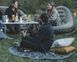 Килимок для пікніка Easy Camp Bilberry Round Carpet 150 cm (180139)