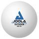 М'ячі для настільного тенісу Joola Outdoor ball 6 шт (42181)