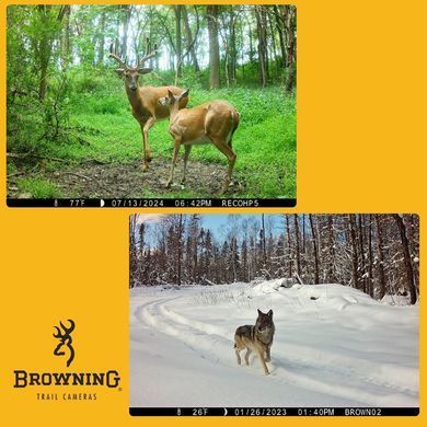 Фотопастка Browning Recon Force Ultra HP5 48MP (BTC-7E-HP5U)