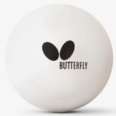 Набір для настільного тенісу Team Butterfly Challenger (6257000002-1)