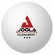 М'ячі для настільного тенісу Joola Tournament 40+ 12 шт (44322)