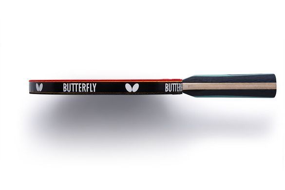 Набір для настільного тенісу Team Butterfly Advance FL x2 (6256900002-1)