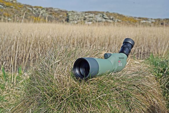 Підзорна труба Kowa TSN-602 60 mm Straight (10017)